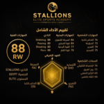 باقة التقييم الإحترافي